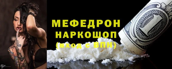 индика Беломорск