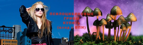 индика Беломорск