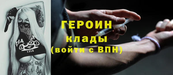 индика Беломорск