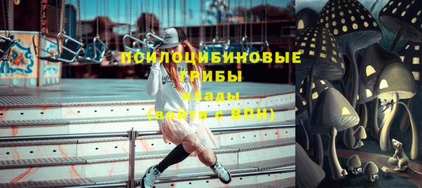 индика Беломорск