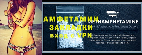 индика Беломорск