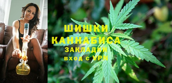 индика Беломорск