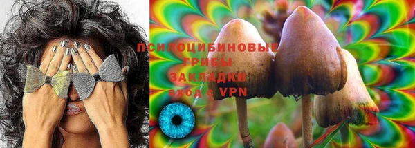 индика Беломорск