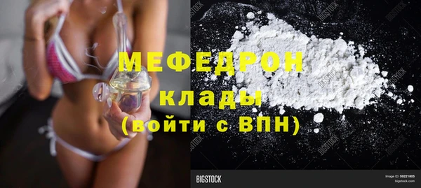 индика Беломорск