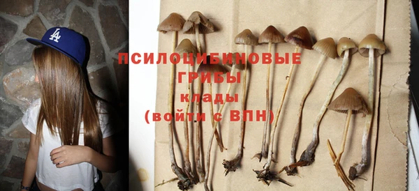 МДПВ Белокуриха