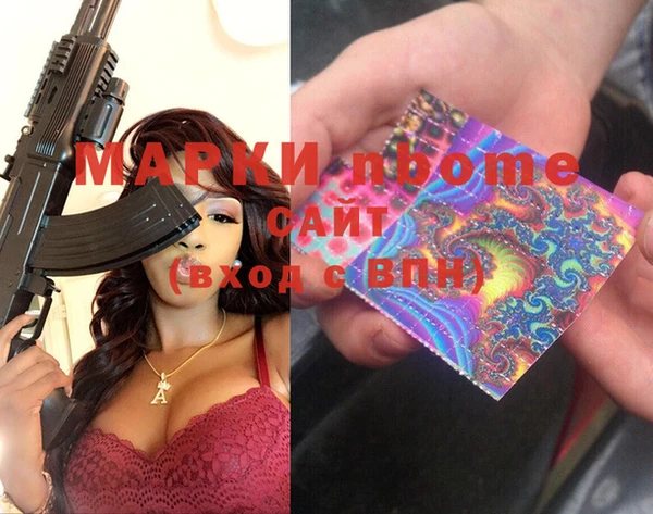 индика Беломорск