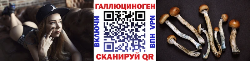 цены наркотик  Яблоновский  Псилоцибиновые грибы Psilocybe 